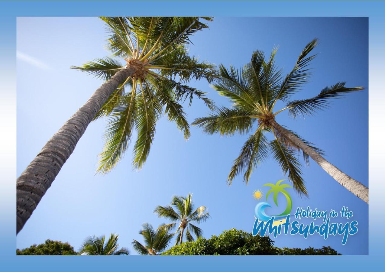 Ocean View 16A Studio Pool & Spa Wi-Fi Airlie Beach Exterior foto